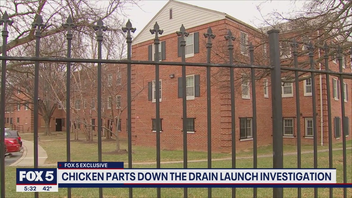 FOX 5 EXCLUSIVE: Chicken parts down drain launch investigation